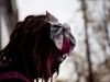 Zombie Walk