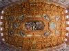 Fisheye ceiling