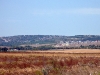Houses in the hills