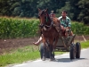 Horse and buggy