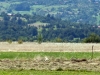 Field work
