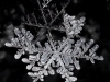 Crystal Harmony