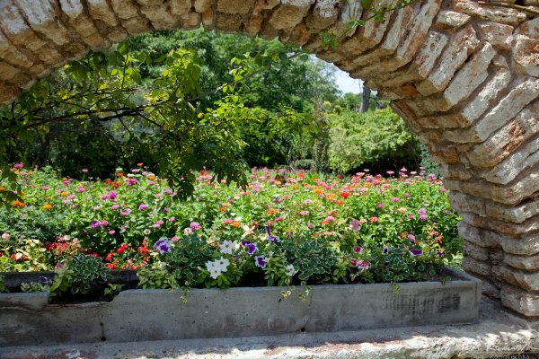 Flowers through the arch