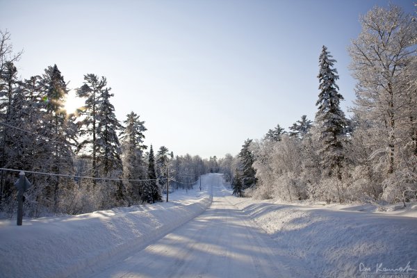 Snowy Road