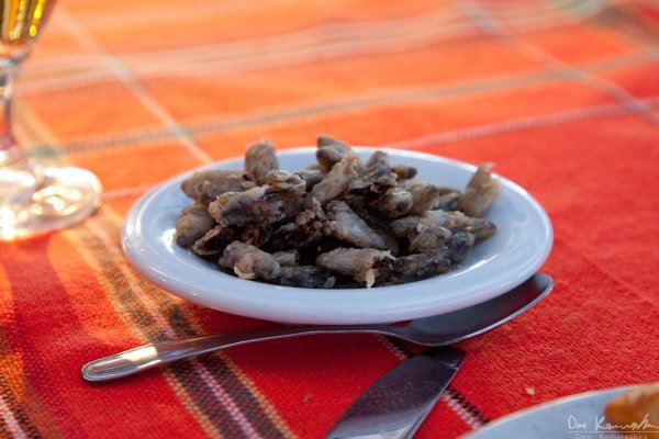 Fish heads, yum!