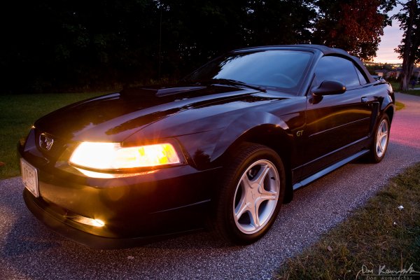 Mustang Front Angle