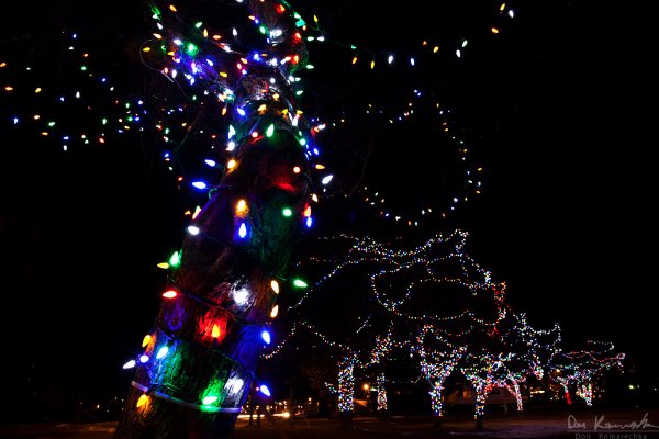 A park of lights