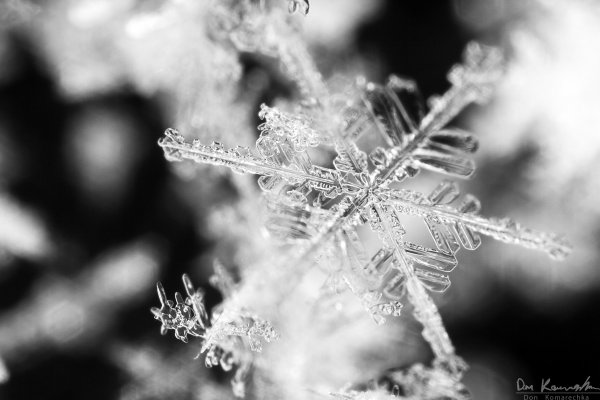 Standard snowflake