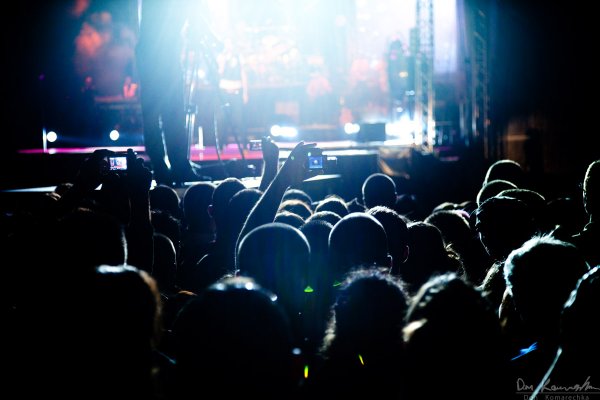 Concert Silhouettes 