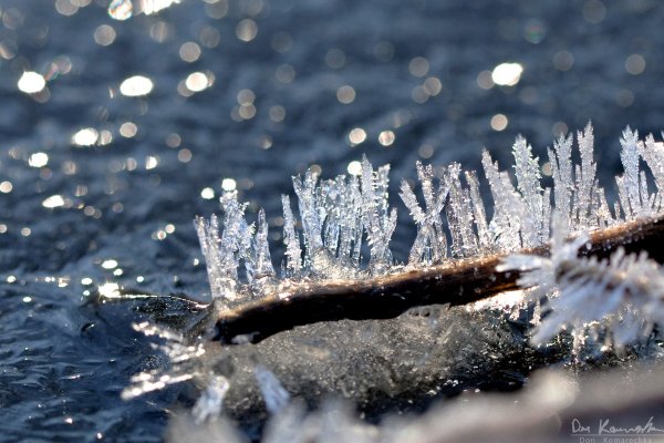 Hoarfrost spikes