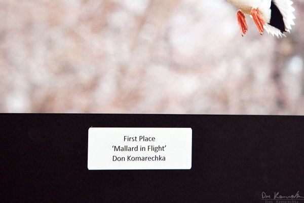 First Place