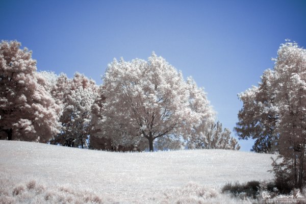 Infrared Park