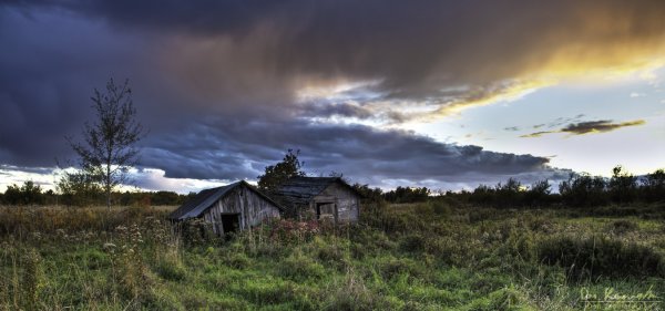 Forgotten Sheds