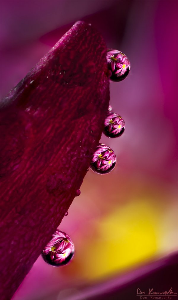 Four Drops