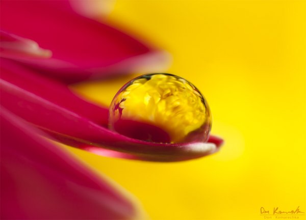Droplet Reflection