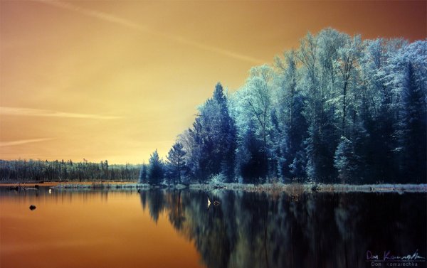 Infrared Landscape