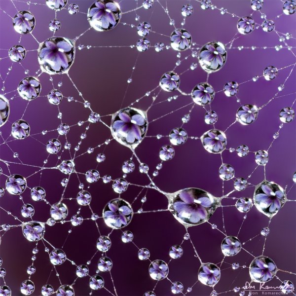 Refraction