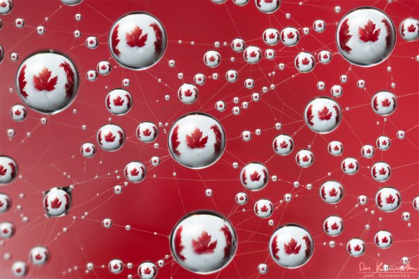Maple Leaf Flag Refraction