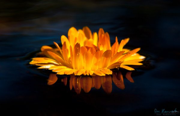 Fire & Water