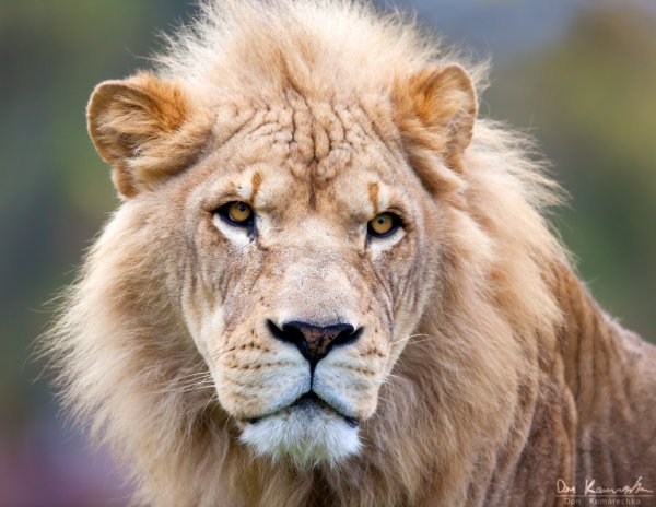 Sitting Proud