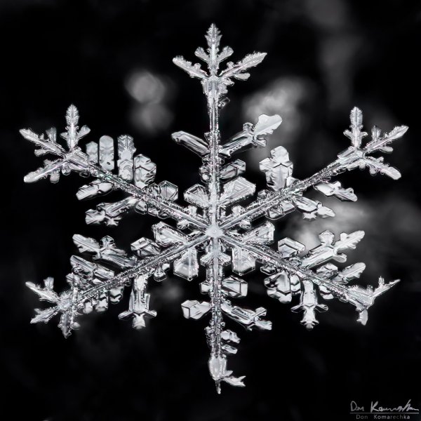 New Snowflake