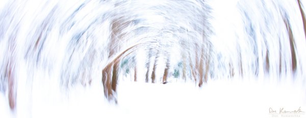 Walking in Winter