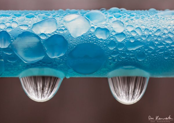 Sapline Refraction