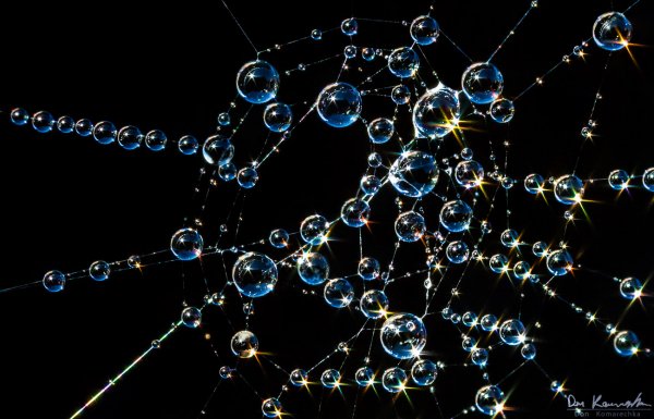 Glowing Droplets