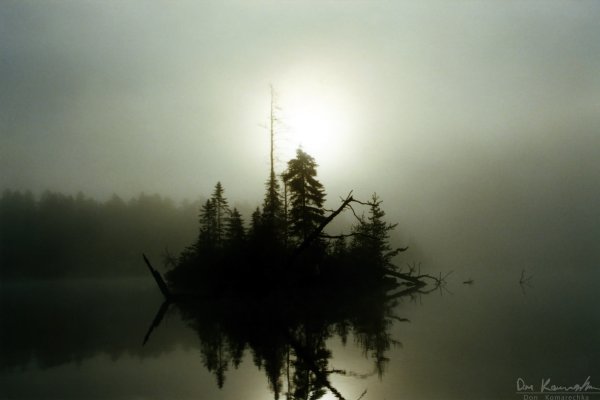 Island in the mist