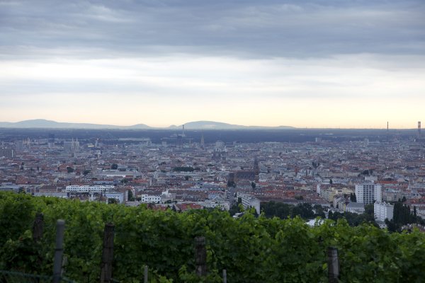 A view of Vienna