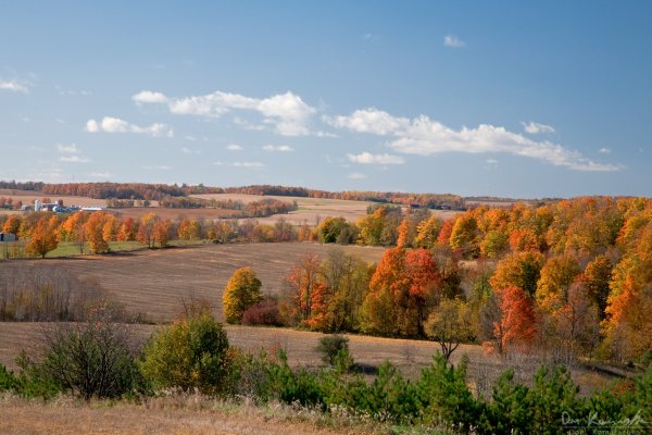 Innisfil landscape