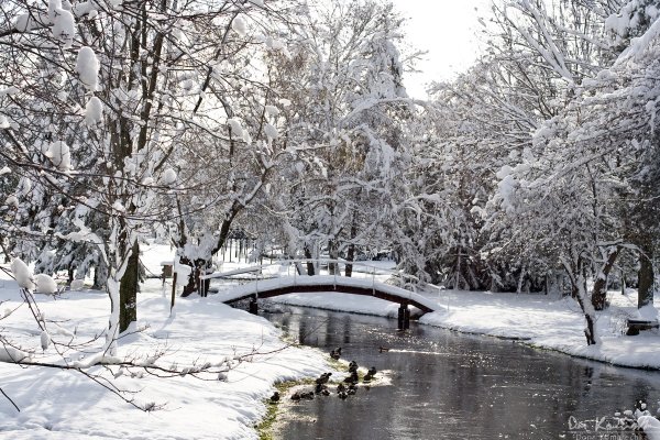 Scenic winter view