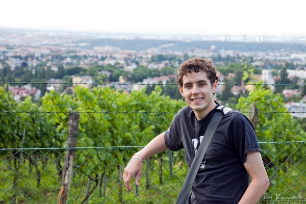 Don in Vienna