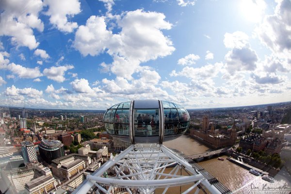 London (fish) Eye