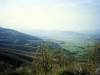 Landscape 4