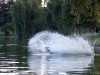 Swimming lessons