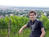 Don in Vienna