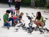 Children playing with pigeons