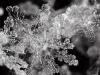 Colliding Crystals