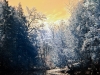 Infrared Waterway