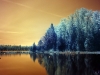 Infrared Landscape