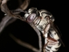Another sleeping bee