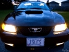 Mustang Front