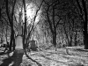 B&W Cemetary