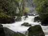 lower-inglis-falls2