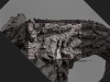Tree bark