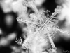 Angled focus
