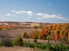 Innisfil landscape