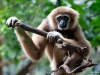 Hanging about