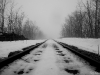 Down the tracks